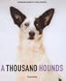 A Thousand Hounds (Special)