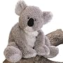 Gund Plush Koala "Kaylee"