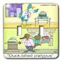 Londons Times Funny Animals Cartoons - Duck-Billed Platypus sent by fax - Light Switch Covers - double toggle switch