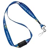 Delaware Fighting Hens Official Logo Lanyard Keychain