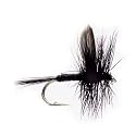 Black Gnat