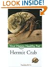 Hermit Crab: Your Happy Healthy Pet