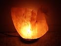 Himalayan Salt Swan Lamp