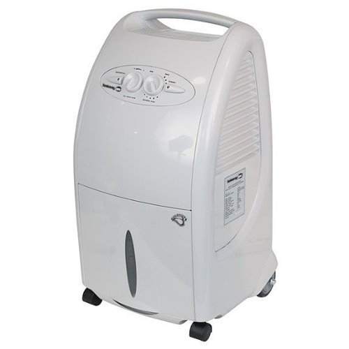 Dehumidifier Lowes Sunleaves Portable Dehumidifier