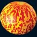 Rare Tigger Melon 30 Seeds - Heirloom - Delicious -Easy