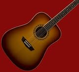 NEW PRO WASHBURN SOLID SPRUCE TOP ACOUSTIC GUITAR WD7S