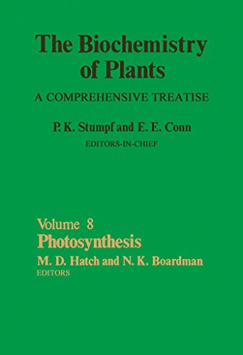 Photosynthesis: The Biochemistry of Plants