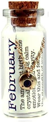 February Birthstone Necklace in a Bottle with 16-18 Inch Gold Chain(luck Feather)