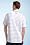 Short Sleeve Tennis Super Dry Stripe Polo with Zip