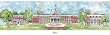 Elon - Collegiate Colors - 5" x 13" Framed Prints