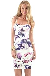 Sexy Sleeveless Corset   Waistline Elastane/Nylon/Polyester/Spandex Floral Print Bodycon Dress 