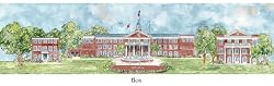 Elon - Collegiate Sculptured Ornament