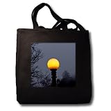 Lee Hiller Photography Hot Springs National Park - Dark Shadow Street Lamp - Tote Bags