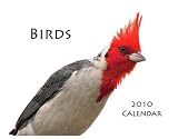 Birds, 2010 Calendar