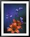 Wood Lily and Harebells, St. Ignace, Michigan, USA Botanical Framed Art Poster Print ...