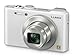 Panasonic Lumix DMC-LF1 12 MP Digital Camera (White)