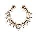 1Pc Fake Septum Clicker Nose Ring Non Piercing Hanger Clip On Jewelry
