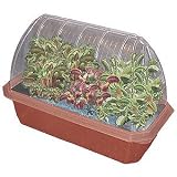41L c2E2AWL. SL160  Grow Your Own Fly Traps Fiends Greenhouse