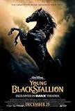  : YOUNG BLACK STALLION POSTER DOUBLE-SIDED IMAX 27X41