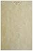 50 Old Age Parchment 65lb Cover Weight Paper 11 X 17 Inches Cardstock Colored Sheets Tabloid|Ledger Size -Printable Old Parchment Semblance