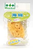 まめいた 海綿 1個入
