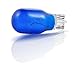 Philips 416065 Landscape Lighting 4-Watt T5 12-Volt Blue Wedge Base Light Bulb, 2-Pack