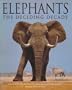 Elephants: The Deciding Decade