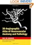 3D Angiographic Atlas of Neurovascular Anatomy and Pathology