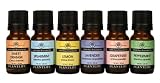 Essential Oil Home Aromatherapy Sampler Set- 6/10 ml.