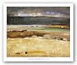 Stormy Day by Santiago Izquierdo 30"x24" Art Print Poster