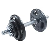 17kg Cast Iron Dumbbell Set