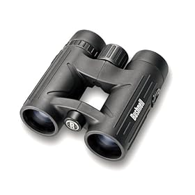 Click here to buy Bushnell 243610 10 x 36 Excursion EX Binocular by Bushnell.