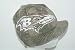 NFL Baltimore Ravens Billed Camouflage Camo Knit Beanie Ski Cap