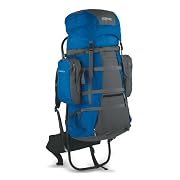 JanSport Carson Backpack