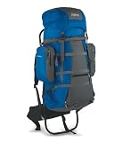 Buy JanSport Carson Backpack