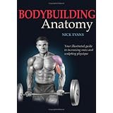 Bodybuilding Anatomy
