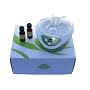 Ultrasonic Aromatherapy Diffuser and Room Humidifier with Two Organic Essential Oils (Verbana and Eucalytus)