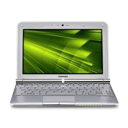 Toshiba Mini NB305-N440WH 10.1-Inch Netbook (Frost White)