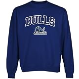 NCAA Buffalo Bulls Logo Arch Applique Crew Neck Fleece Sweatshirt - Royal Blue