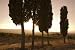 Tuscan Sunset - 72W x 48H - Peel and Stick Wall Decal by Wallmonkeys
