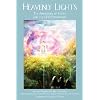 Heavenly Lights: The Apparitions of Fatima and the UFO Phenomenon