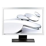 BenQ FP222Wa - Flat panel display - TFT - 22 - widescreen - 1680 x 1050 - 300 cd/m2 - 700:1 - 5 ms - 0.282 mm - VGA - black, silver