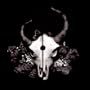 My Heartstrings Come Undone (Summer Of Darkness Album Version)