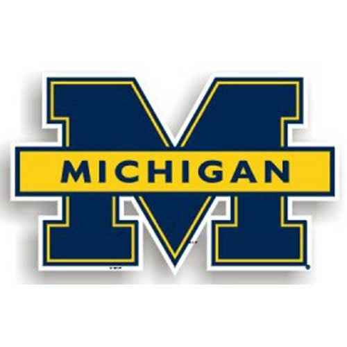 NCAA Michigan Wolverines 12 inch Vinyl Magnet