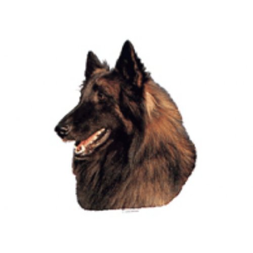 World Stickers Schwandt Heimtierbedarf 15070 Aufkleber 1 St&uuml;ck ca. 230 x 270 mm f&uuml;r Warnschild Belgian Tervuren