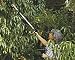 EZ Reacher and Grabber  Pick Stick