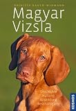 Magyar Vizsla: Geschichte, Haltung, Ausbildung, Beschäftigung