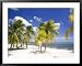 Southern Cross Club, Little Cayman, Cayman Islands, Caribbean Scenic Framed Art Poster Print by Greg Johnston, 39x31