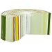 American Educational Dicot Stem Plant Model