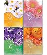 Scripture Greeting Cards-KJV-Boxed-Get Well - "Petals of Cheer"
